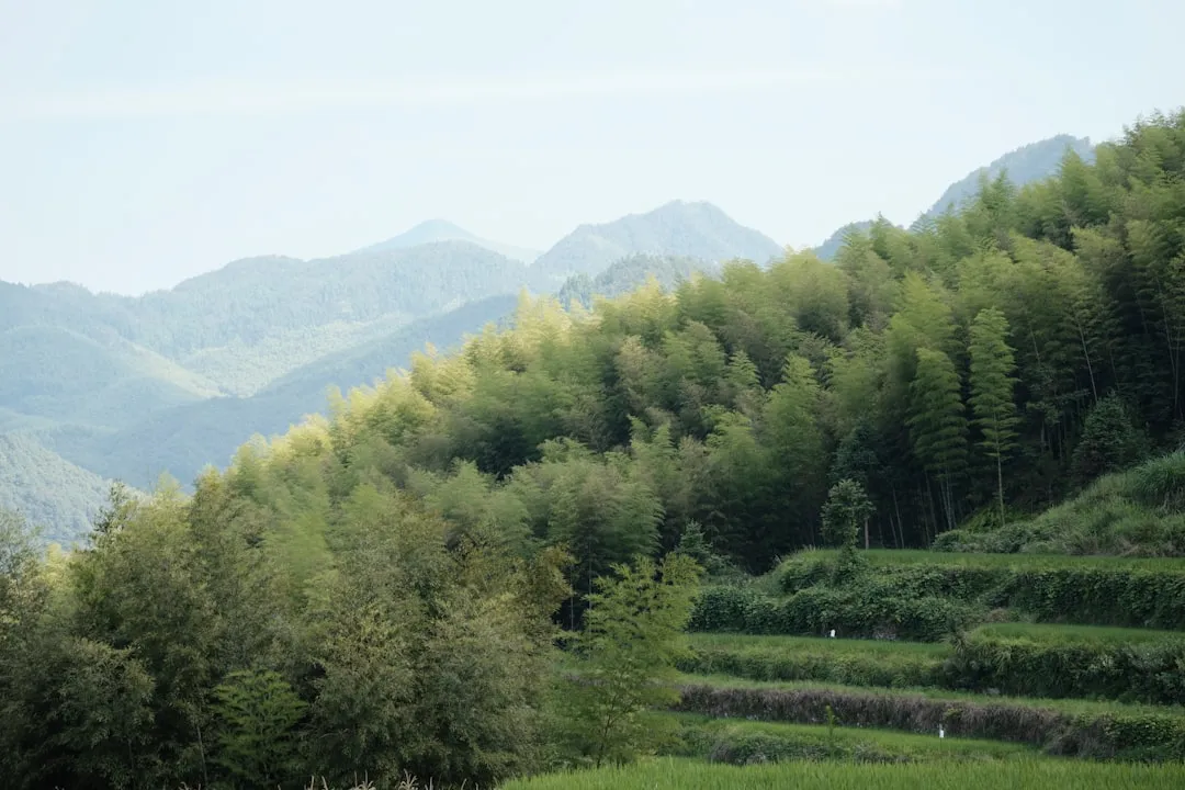 物联网技术研发新趋势：从产品概念到可量产方案的实践路径正文配图 1
